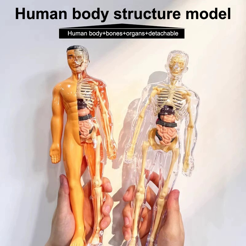 Kit modello scientifico di ana - Model Kit Fantasy recensione e prezzo
