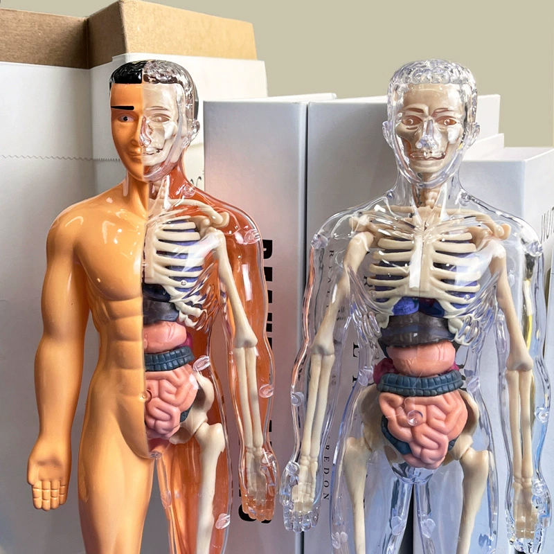 Kit modello scientifico di ana - Model Kit Fantasy recensione e prezzo